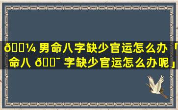 🐼 男命八字缺少官运怎么办「男命八 🐯 字缺少官运怎么办呢」